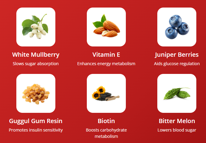 Gluco Armor Ingredients