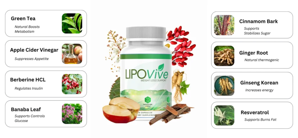 LipoVive Ingredients